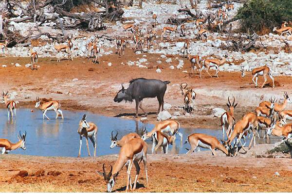 052 gedrnge am wasser