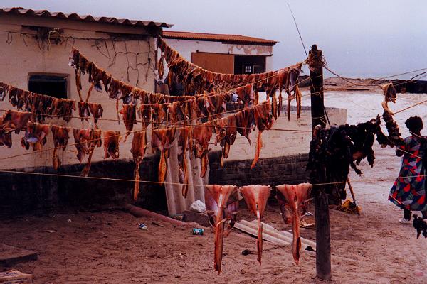 083 futter von der leine