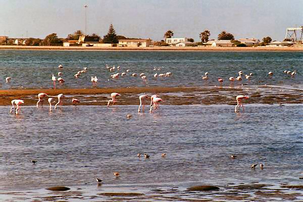 093 das letzte wasser