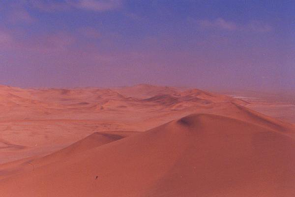 100 kann wste schn sein 