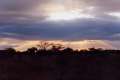 005 sundown