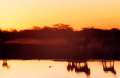 032 african sunrise