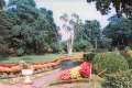 033 kandale - botanischer garten
